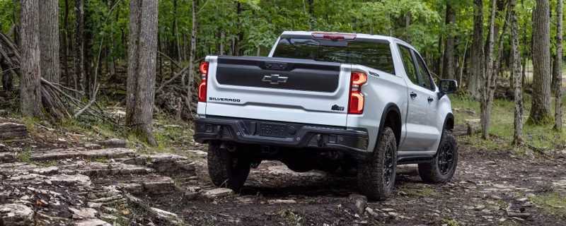 2025 Chevrolet SILVERADO WT Double Cab, Standard Bed (4WD) - Image 6