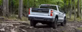 2025 Chevrolet SILVERADO RST Crew Cab, Short Bed (2WD) - Image 6