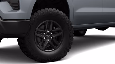 2025 Chevrolet Silverado 1500 Crew Cab Short Bed (Custom Trail Boss, 4WD) 20