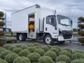 2026 Isuzu NRR Derate Crew Cab (Class 5 Diesel) - Image 18