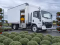 2026 Isuzu NRR Derate Standard Cab (Class 5 Diesel) 150 in Wheelbase - Image 24