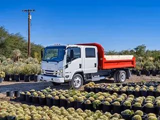 2026 Isuzu NQR Crew Cab (N-Series Class 5 Gas) 212 in Wheelbase††† - Image 20